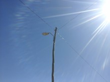 Servicios electricos y telecomunicaciones